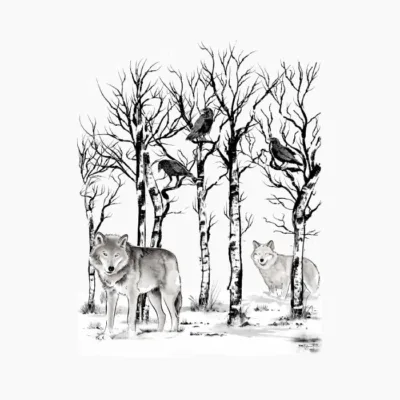 Winter In The Forest