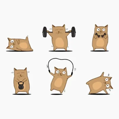 Gym Cat