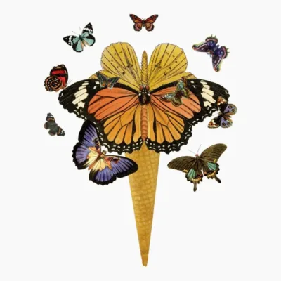 Butterflies Ice Cream