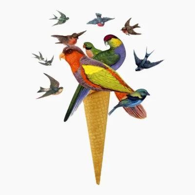 Birds Ice Cream
