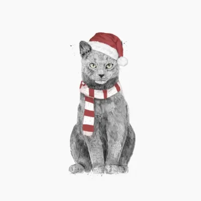Xmas Cat