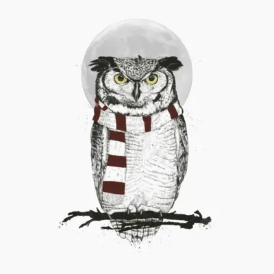 Winter Owl