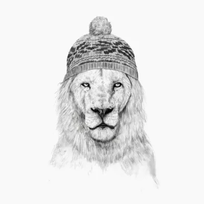 Winter Lion Black