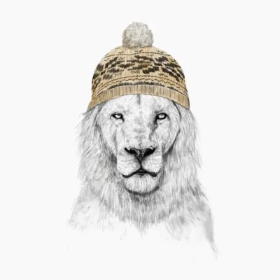 Winter Lion