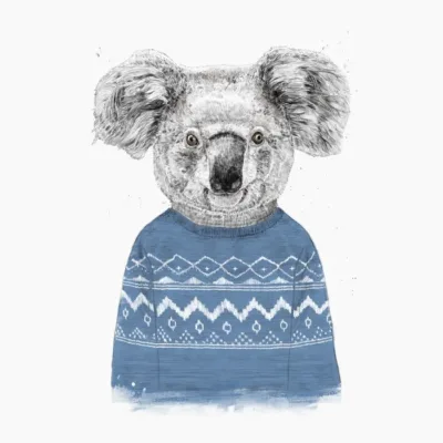 Winter Koala
