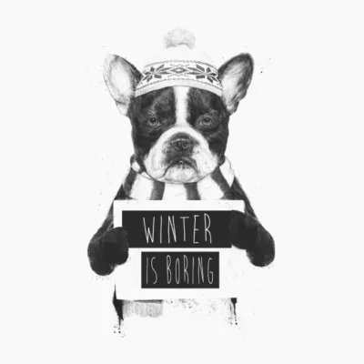 Winter Is Boring