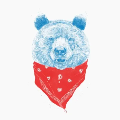 Wild Bear Color