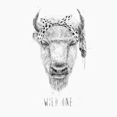 Wild One