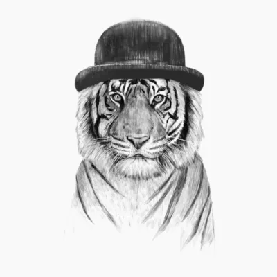 Welcome To The Jungle