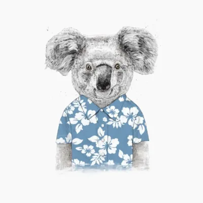 Summer Koala Blue