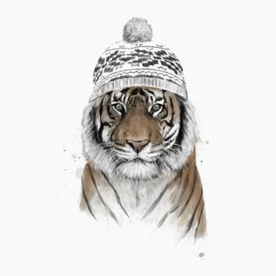 Siberian Tiger