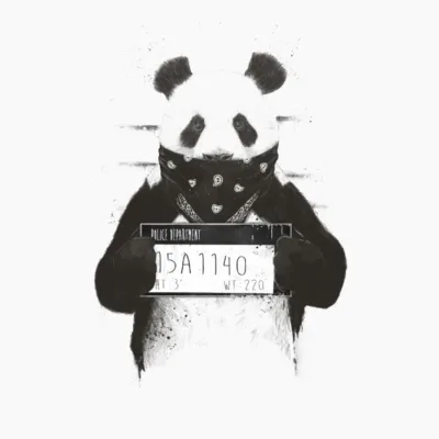 Bad panda