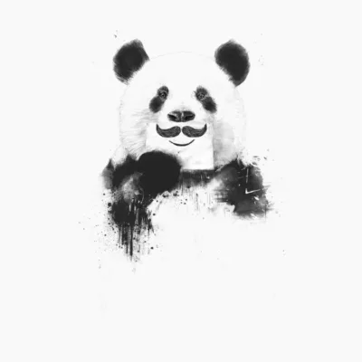 Funny Panda