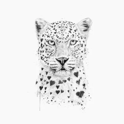 Lovely leopard