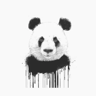 Graffiti panda