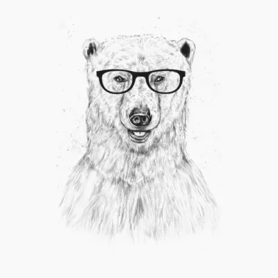 Geek bear