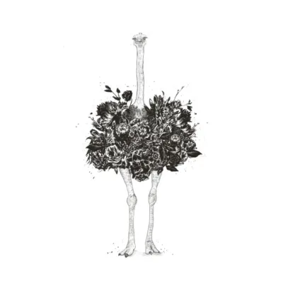 Floral ostrich