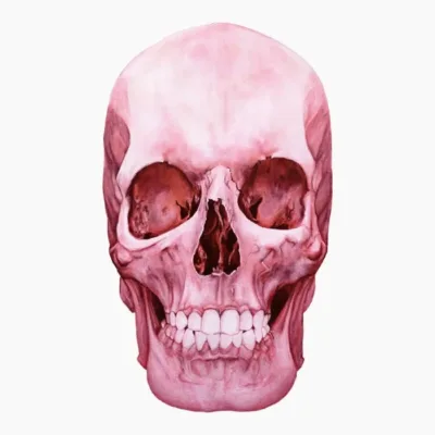 Skull Pink