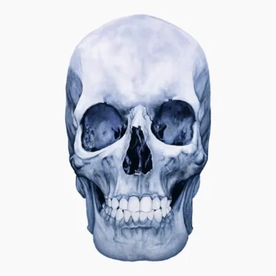 Skull Blue