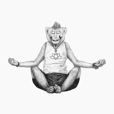 Monkey Yoga