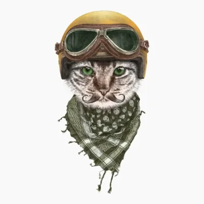 Biker Cat Color