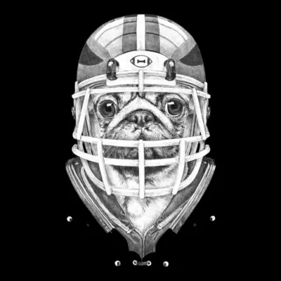 American Football Pug
