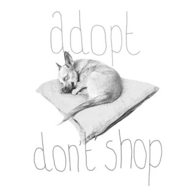 Adopt Don't Shop