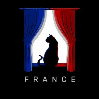 France cat silhouette