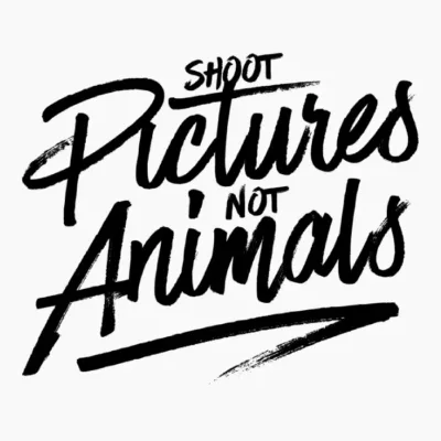 Shoot Pictures Not Animals
