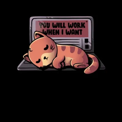 You Will Work When I Wanted