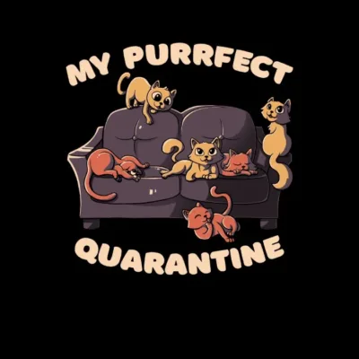Purrfect Quarantine