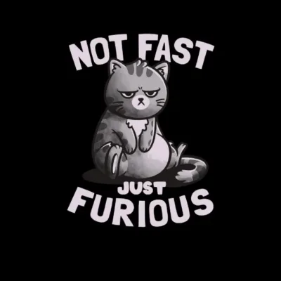 Not Fast Just Furious