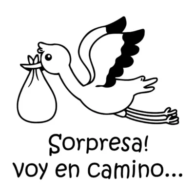 Sorpresa! voy en camino.Cigüeña.