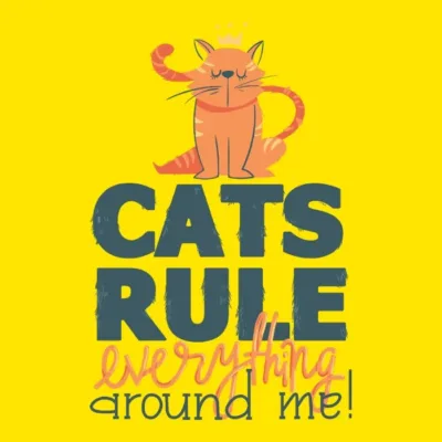 Cats Rule