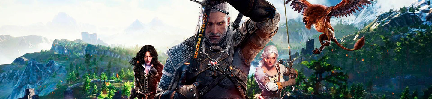 The Witcher Banner