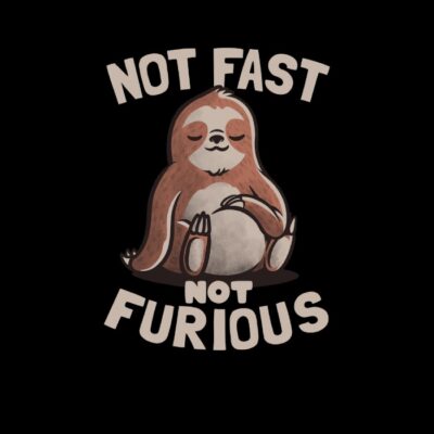 Not Fast Not Furious
