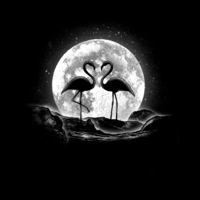 Moonlight Love flamingo