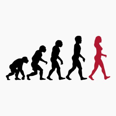 Evolution Version 2