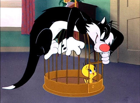 Silvestre encima de la jaula de Piolín