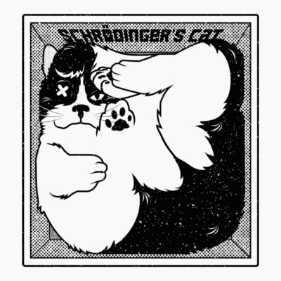 Shrodinger's cat box