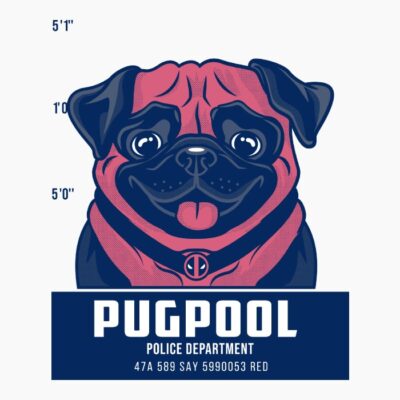 Pug pool 2