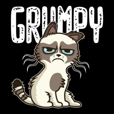 Grumpy cat gato