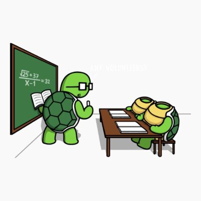 Turtle school
