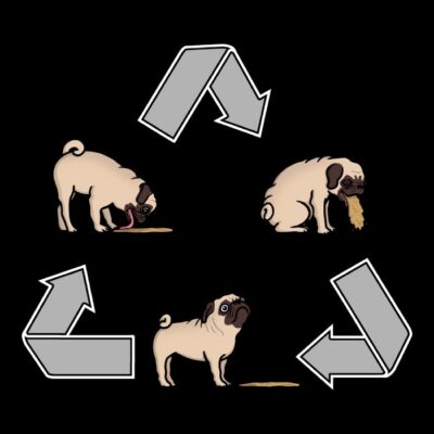 The cycle of the pug