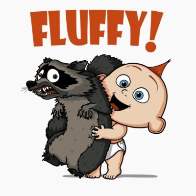 Fluffy racoon