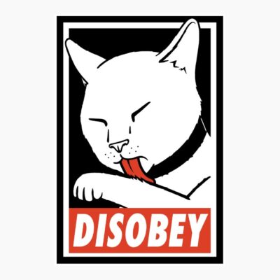 Cat disobeyK