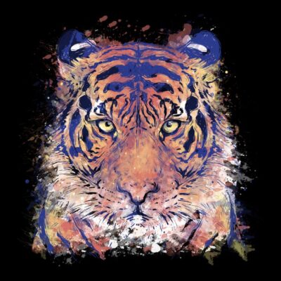 Chromatic Tiger