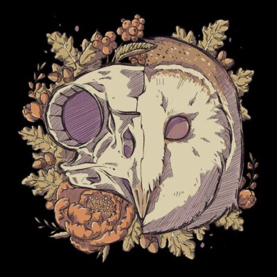 Autumn Barn Owl Skull