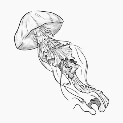Medusa Flotando