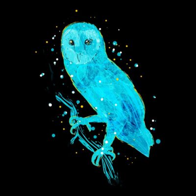 Magical forest animals - the owl- cut ok